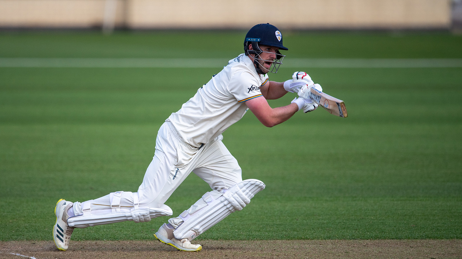 Pre-Match Pack: Worcestershire (H)