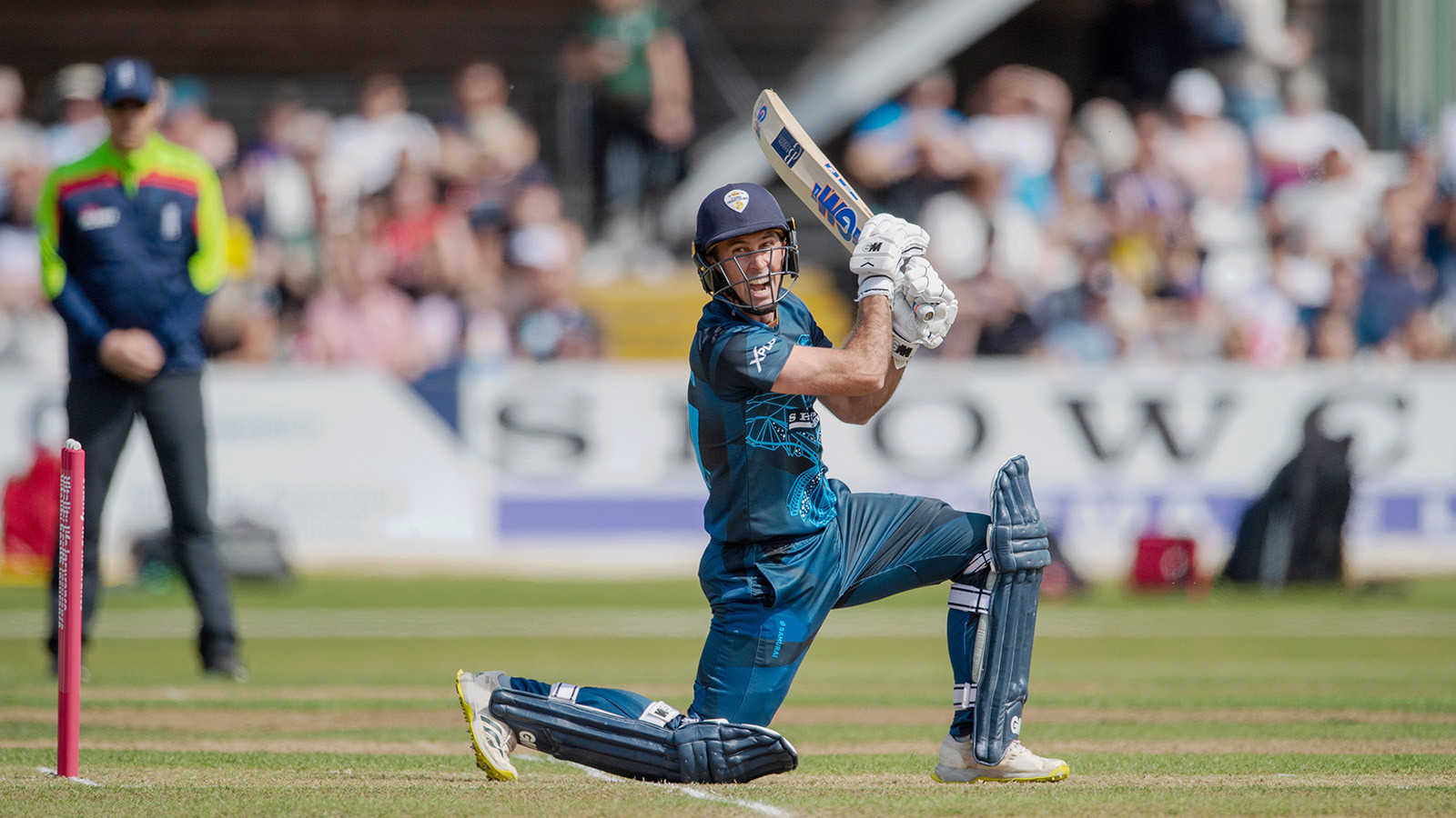 Madsen and Watt to play in T20 World Cup qualifiers