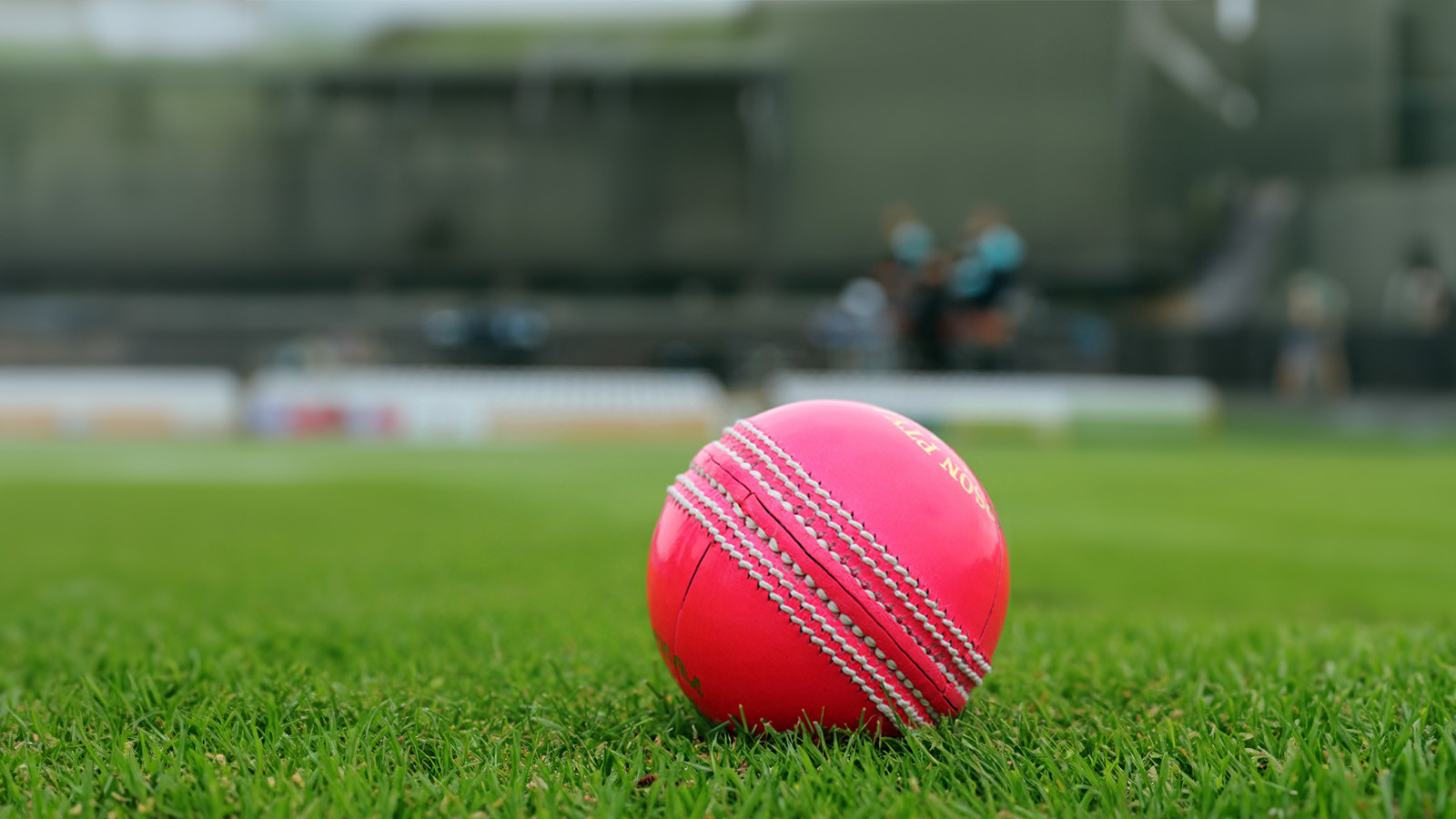 DCCL Finals Day winners crowned at The County Ground