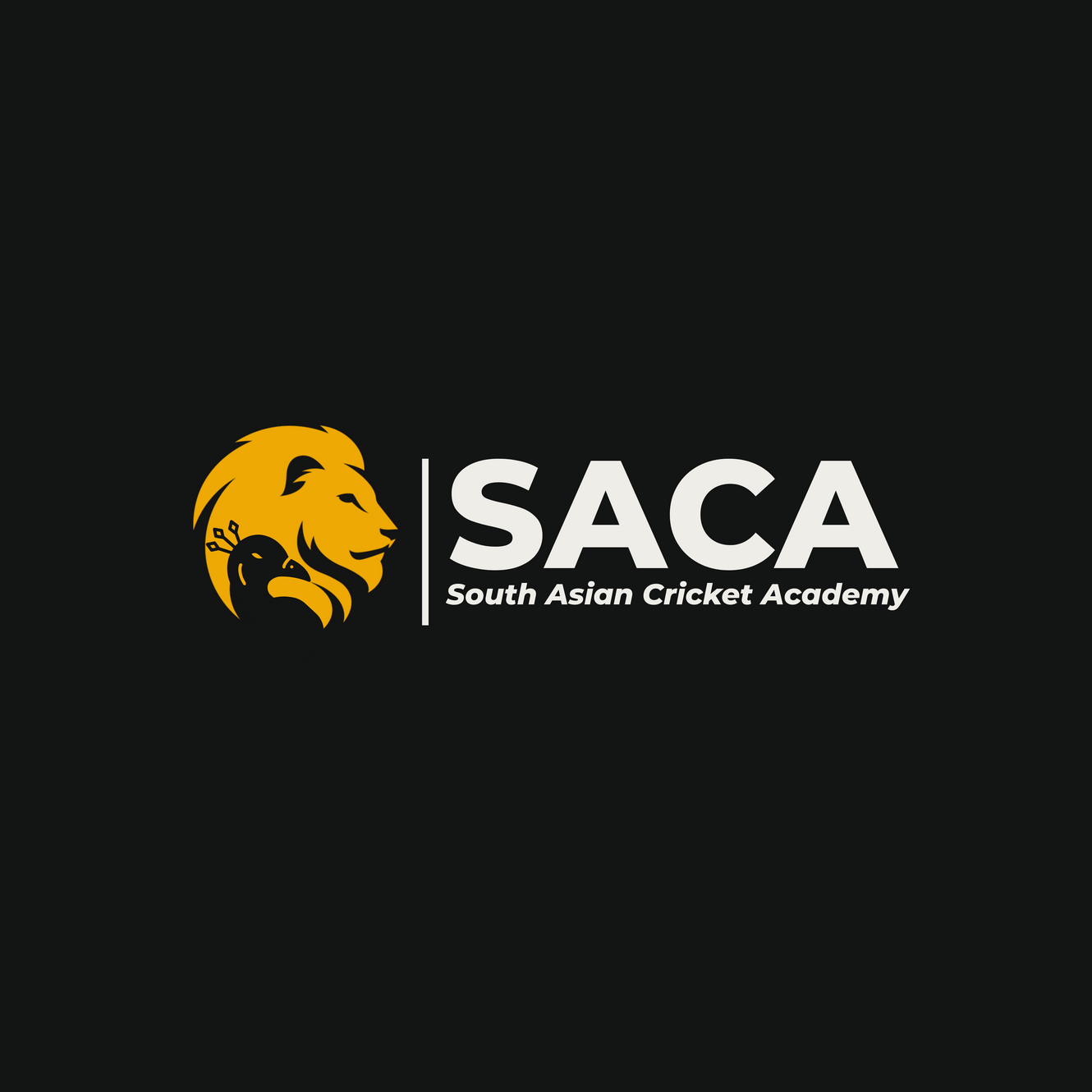 saca.png