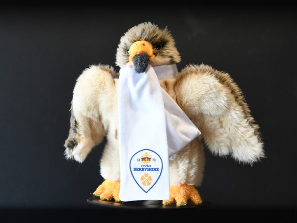 Freddie the Falcon Toy