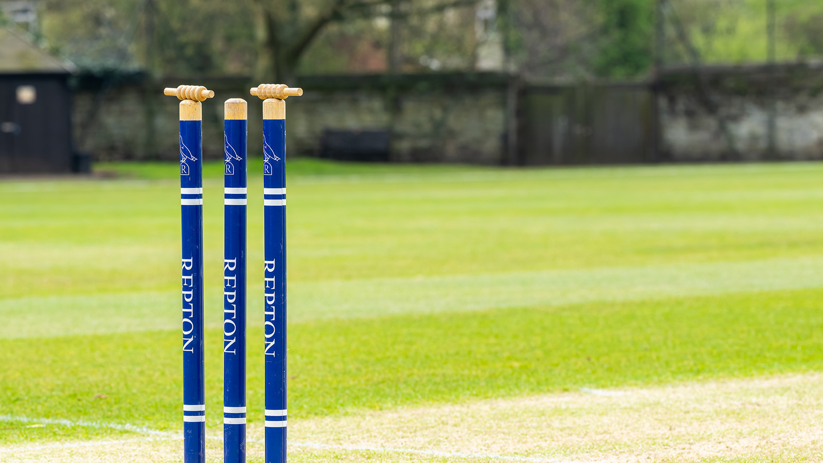Sponsors for Repton School fixture