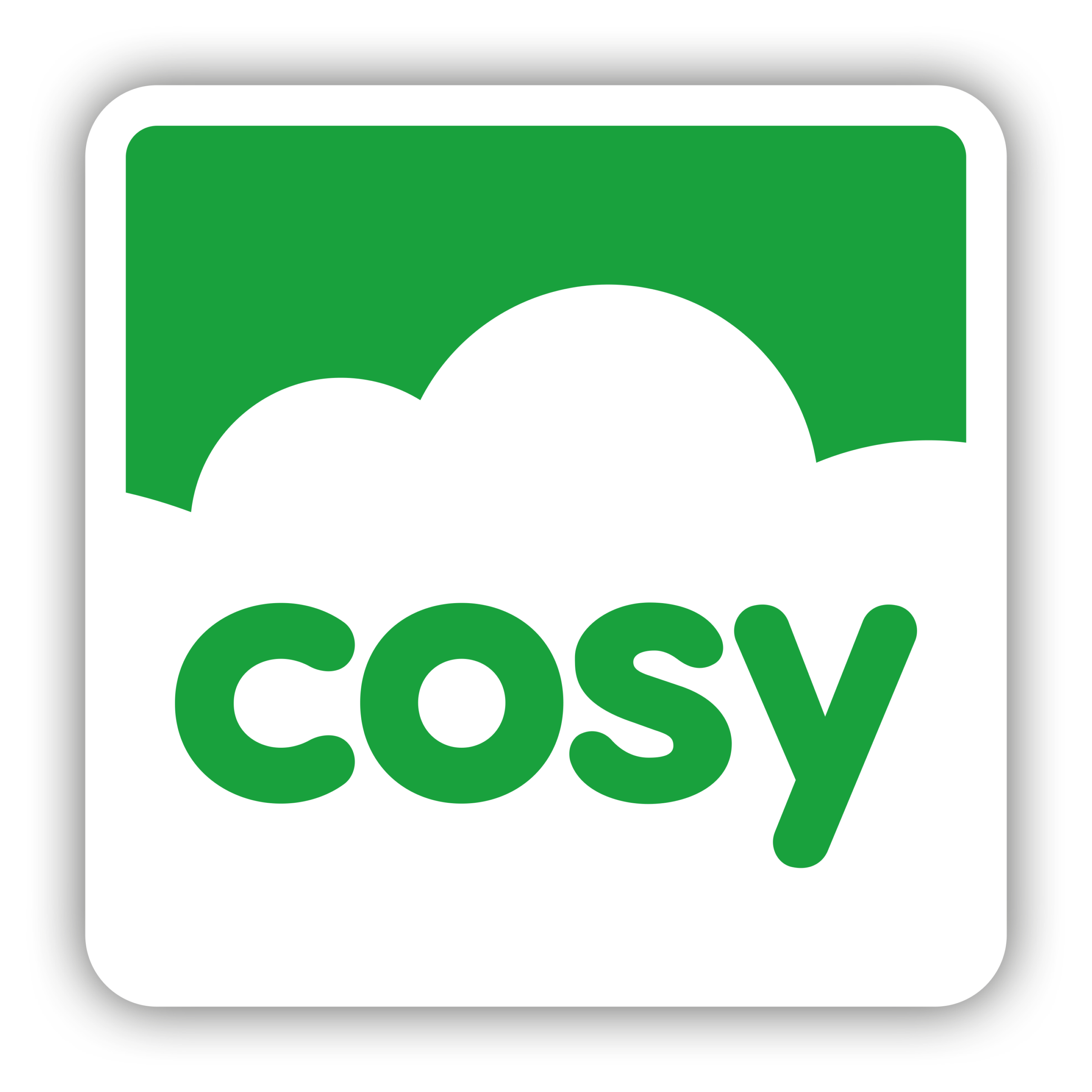COSY LOGO PGN