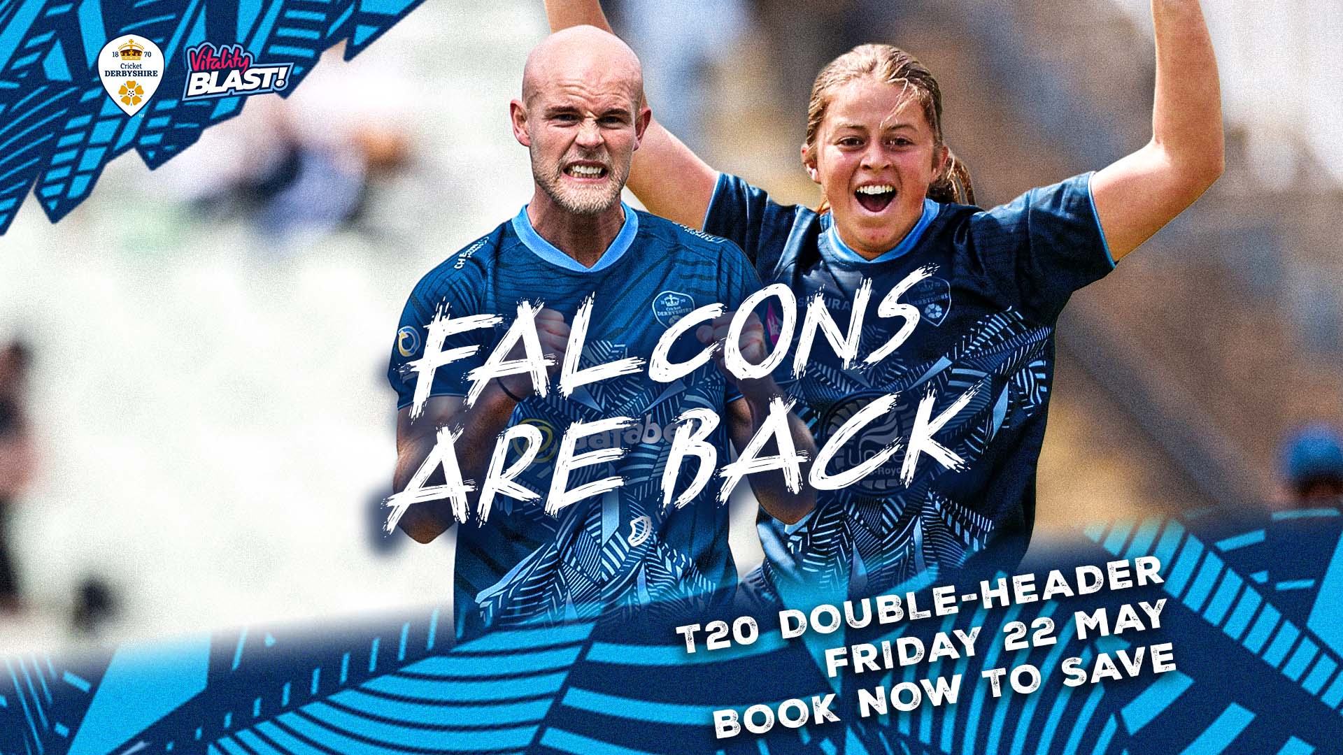 Falcons Back popover v2