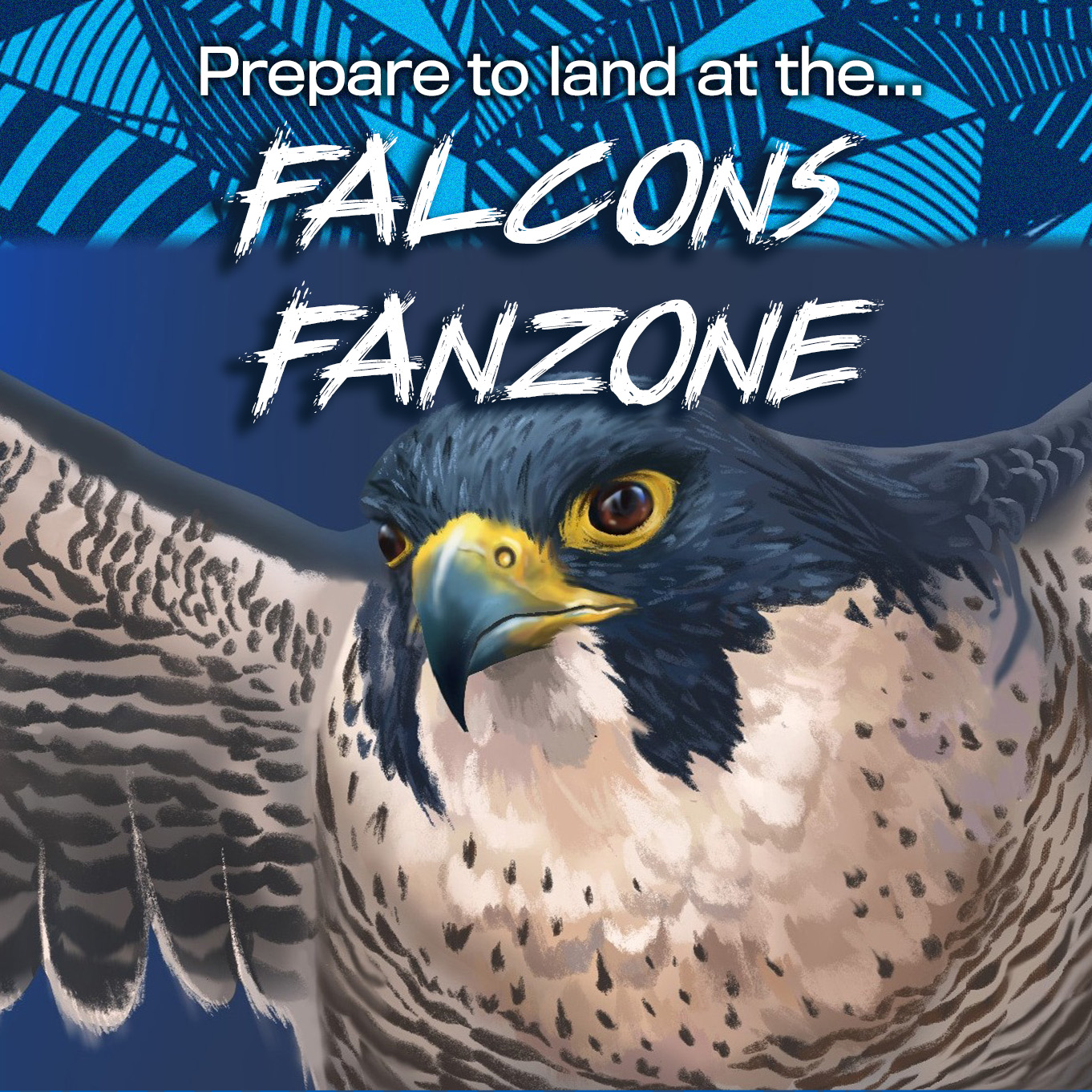 Falcons Fanzone – Social 1×1