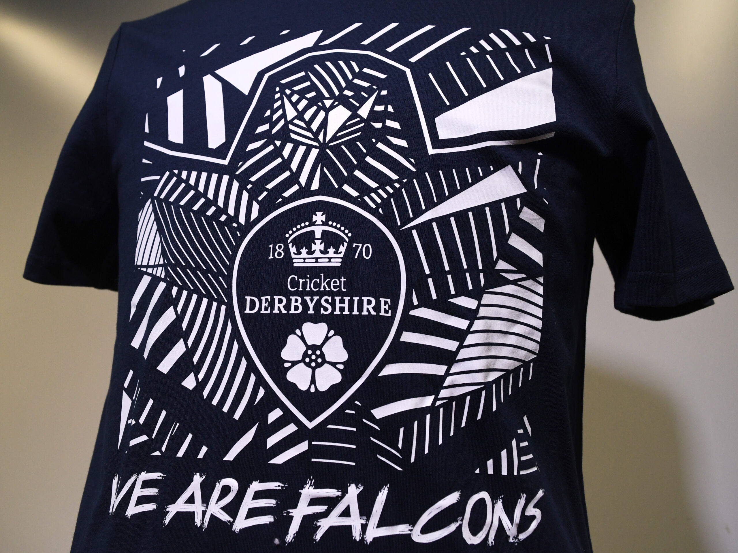 We Are Falcons T-Shirt - Image 2