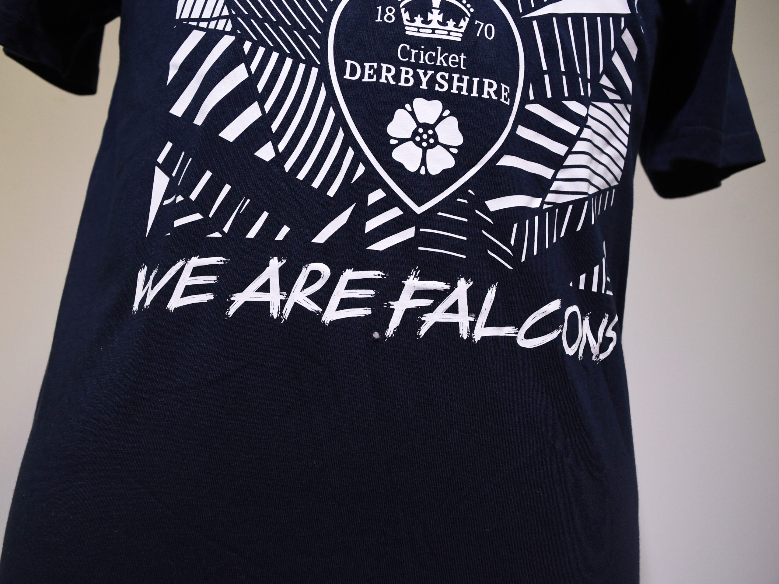 We Are Falcons T-Shirt - Image 3