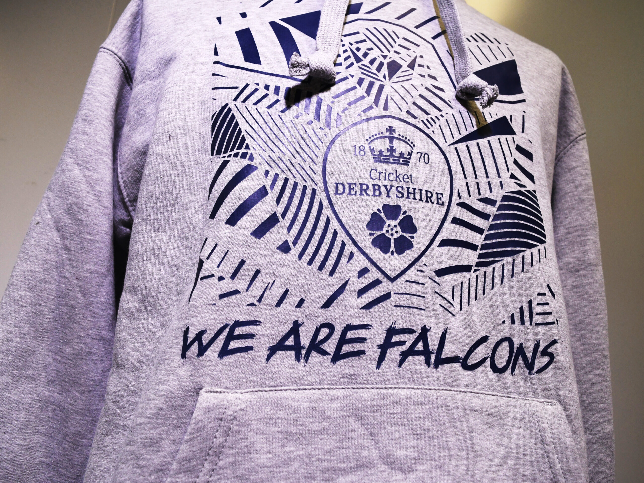 We Are Falcons Hoodie - Image 2