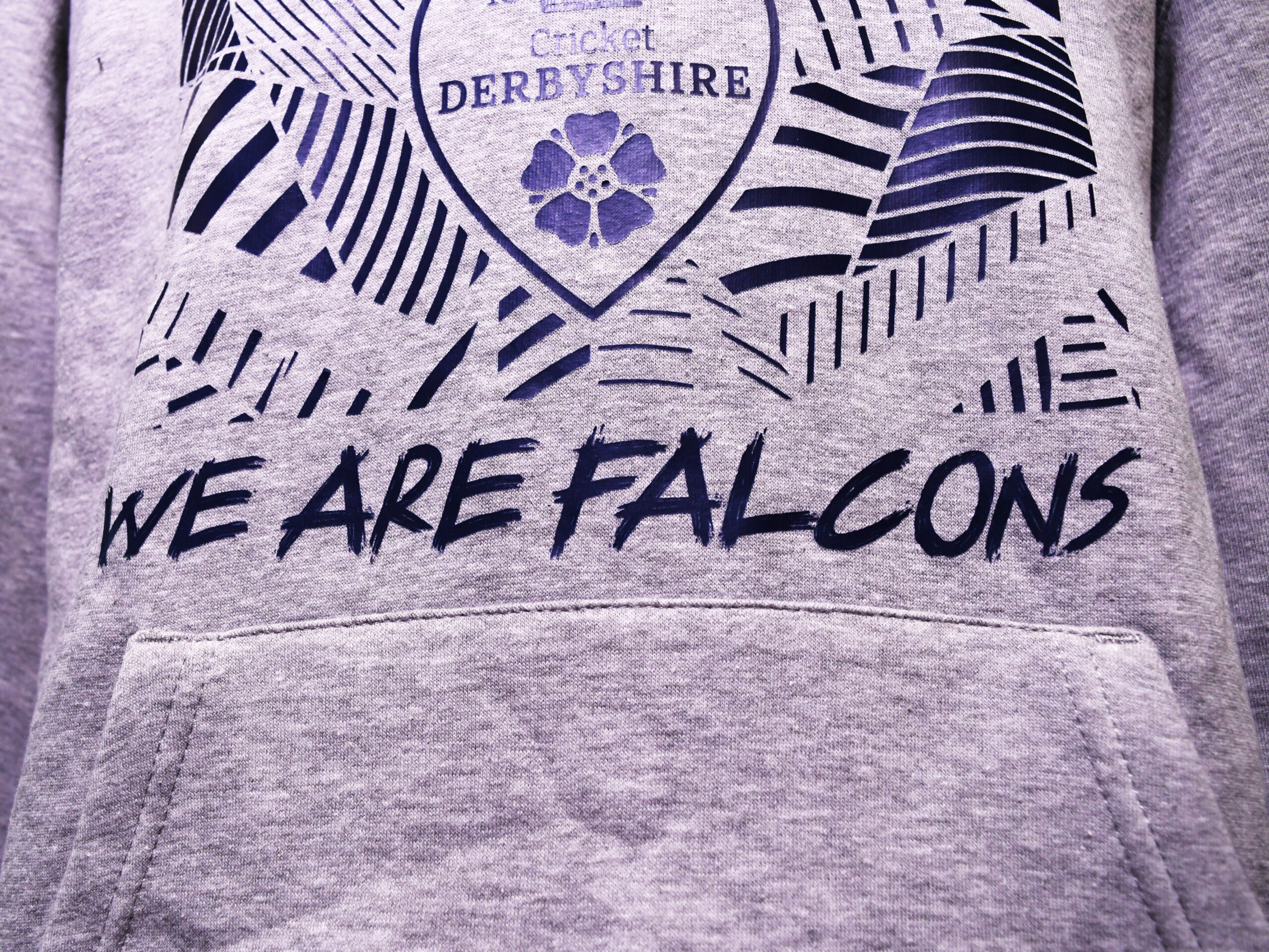 We Are Falcons Hoodie - Image 3